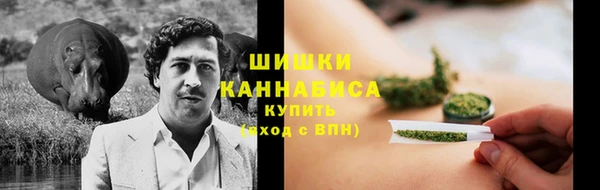 стаф Горнозаводск