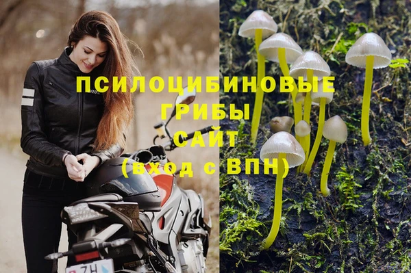 каннабис Гусев