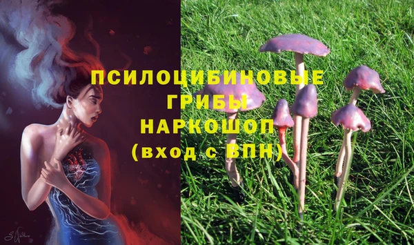 прущая мука Горняк