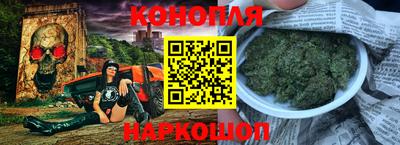 гашик Можга