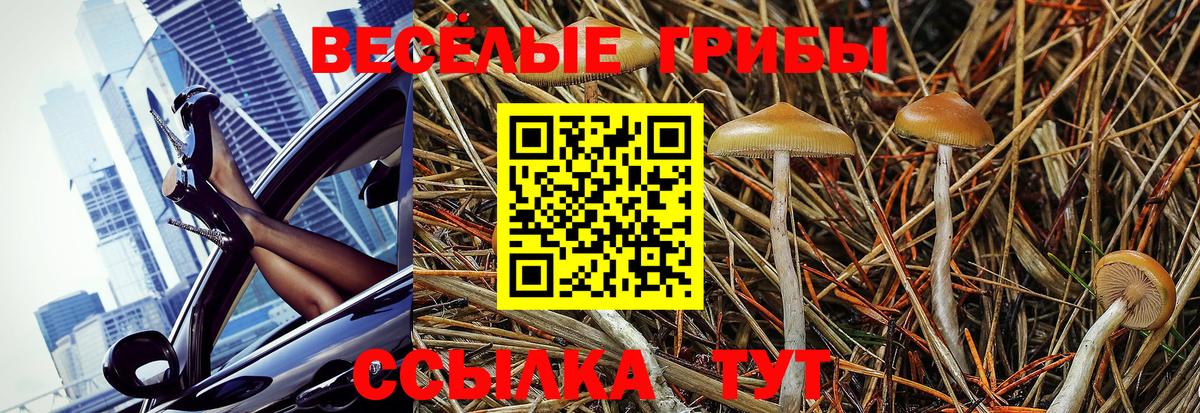 Галлюциногенные грибы Cubensis  Вход с VPN  Добрянка 