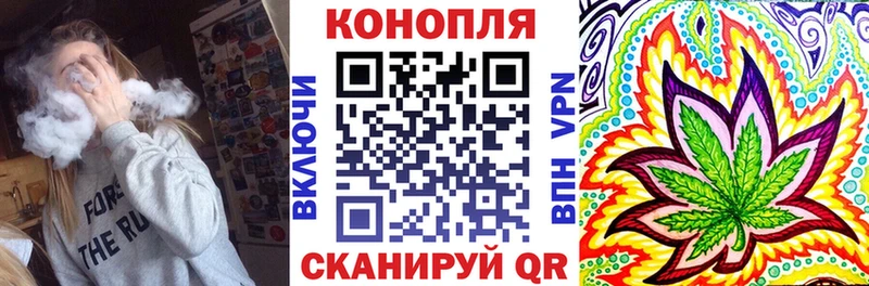 Канабис гибрид ОМГ ОМГ Добрянка закладка